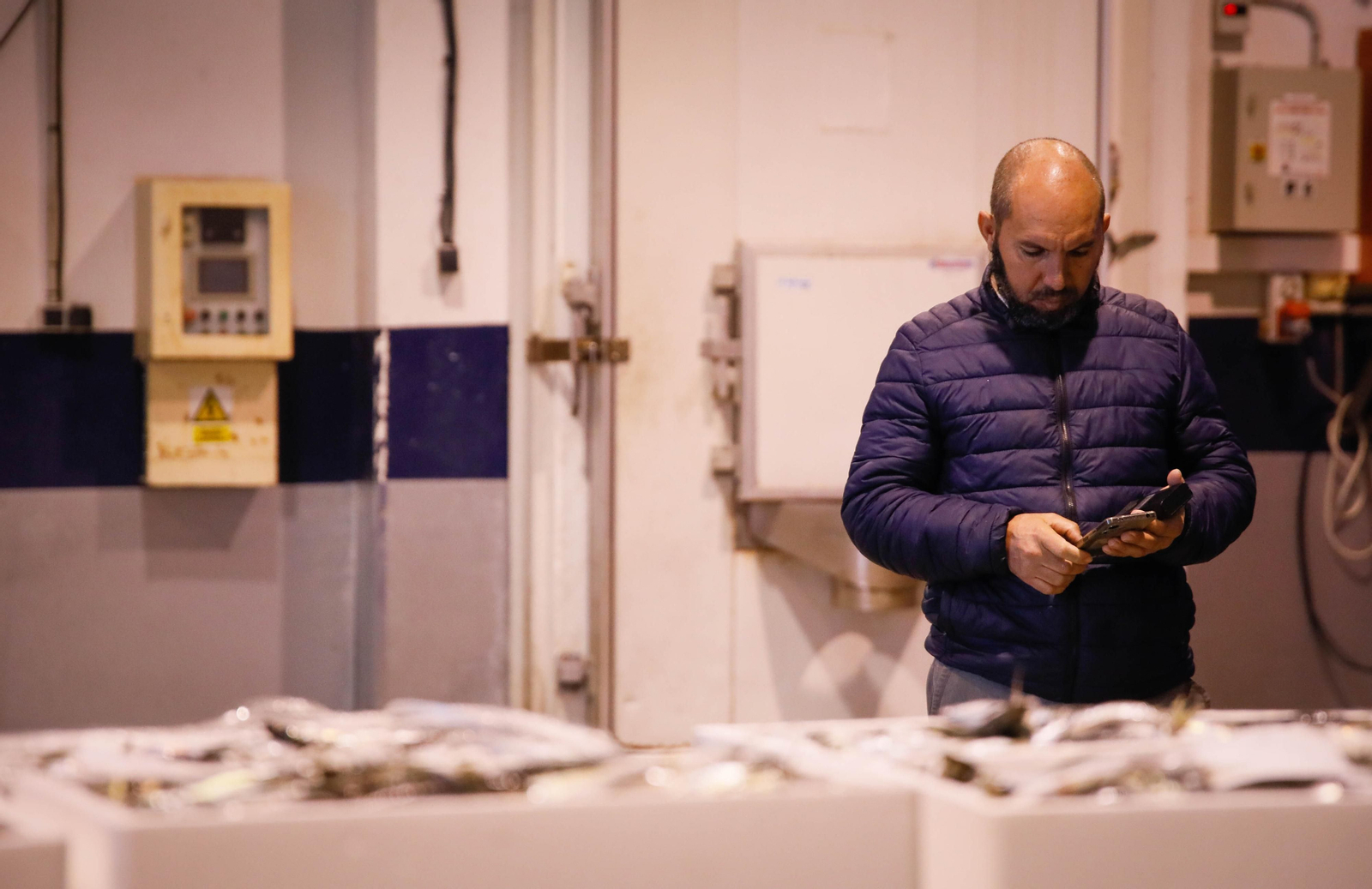 Te contamos en imágenes como ha sido la descarga de las traiñas en la lonja de Almería