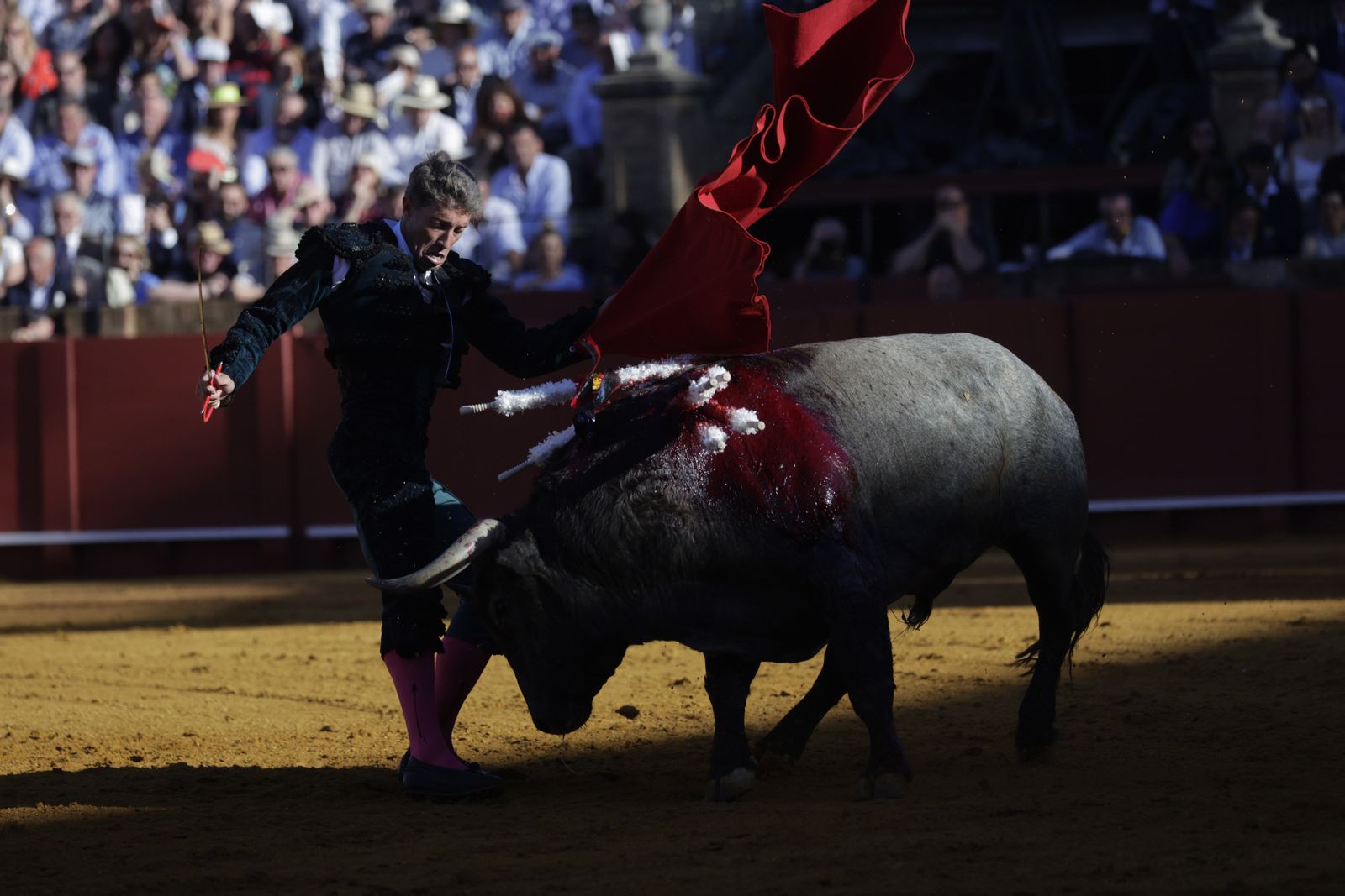 Las imágenes de la corrida de los Victorinos en la Maestranza de Sevilla