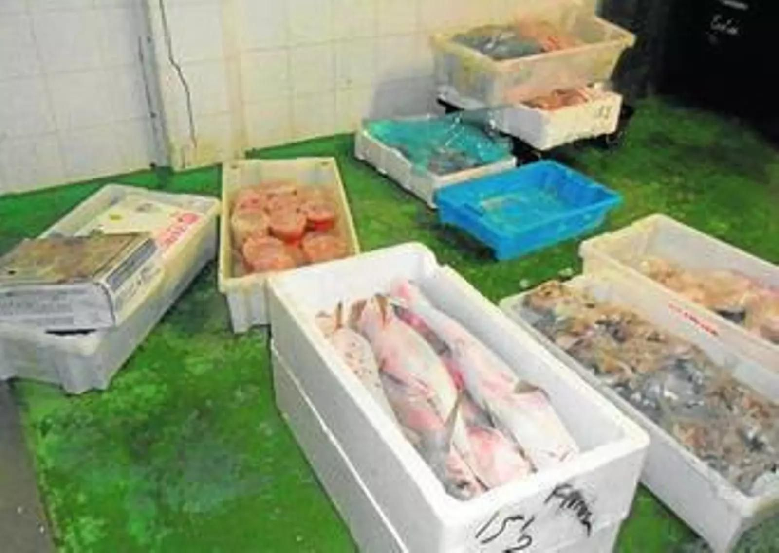 El Seprona interviene 400 kilos de pescado y marisco con ácido bórico