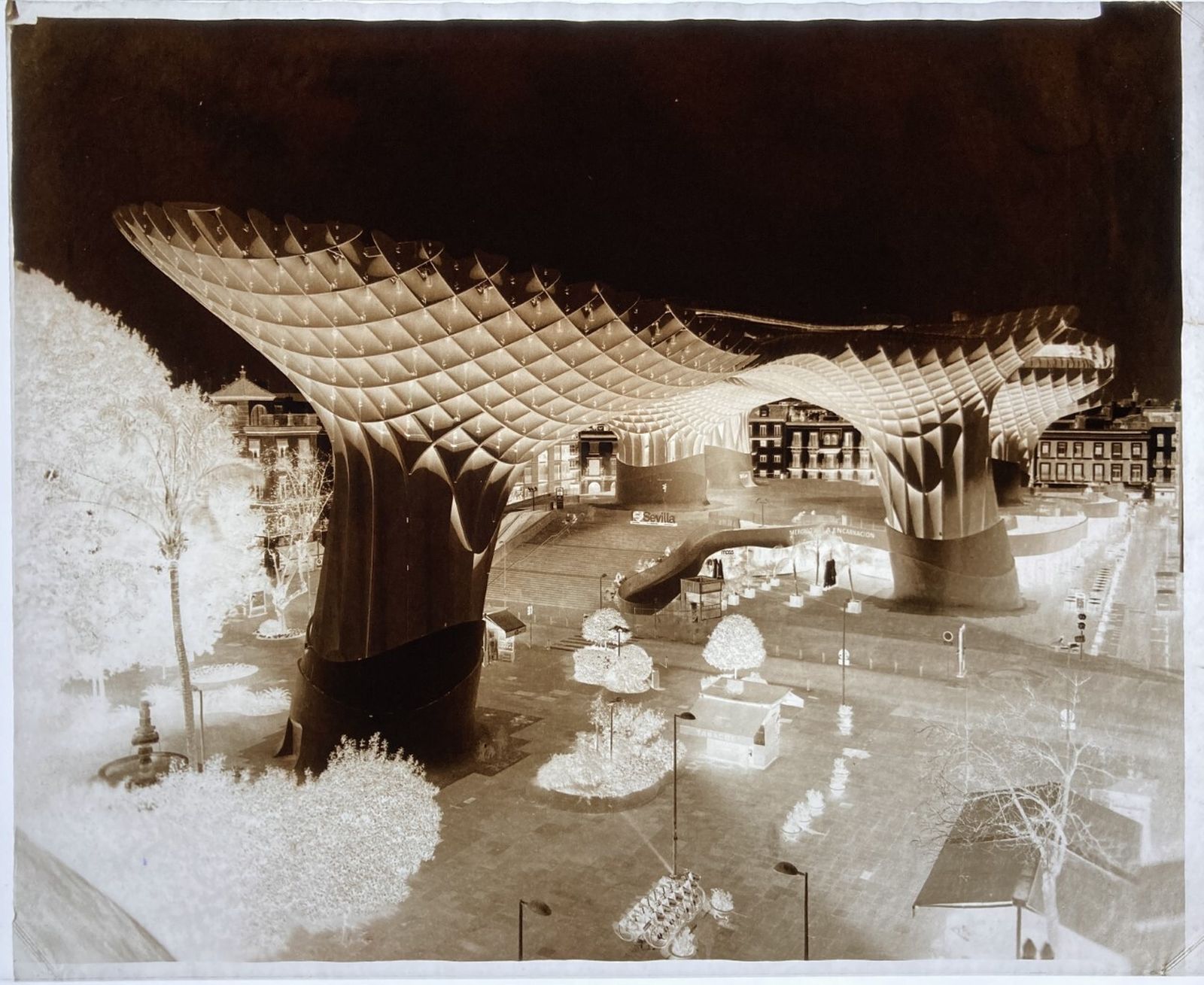 Un calotipo de las Setas.