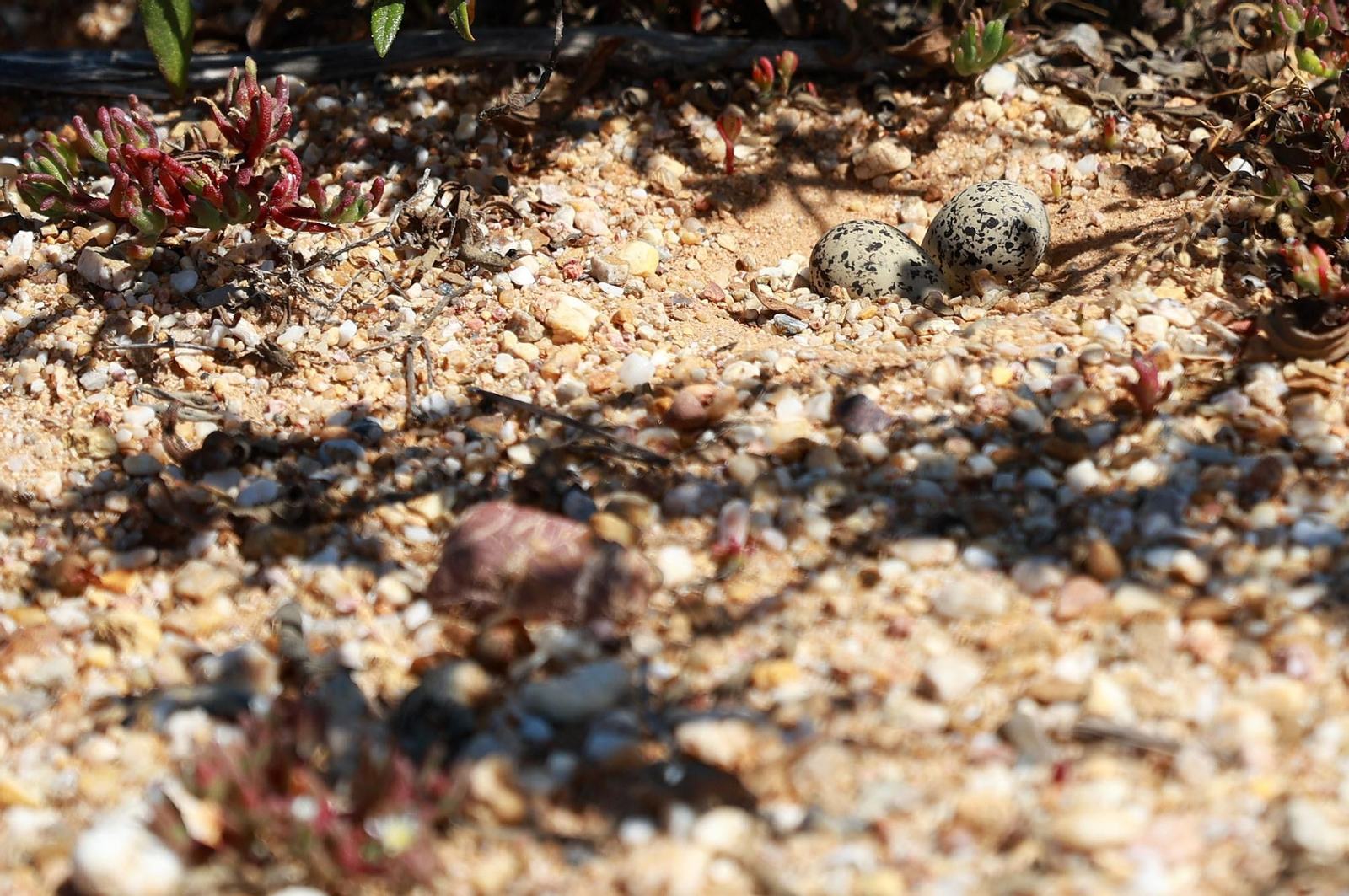 Imágenes del viernes 3 de mayo en Huelva