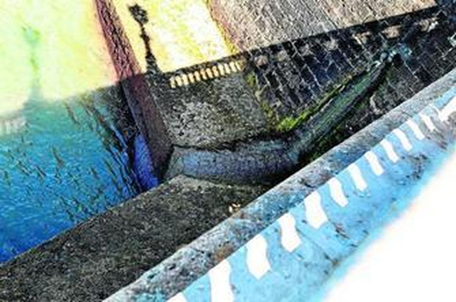 Los vertidos denunciados por UPyD estaban localizados en la Alameda Apodaca.