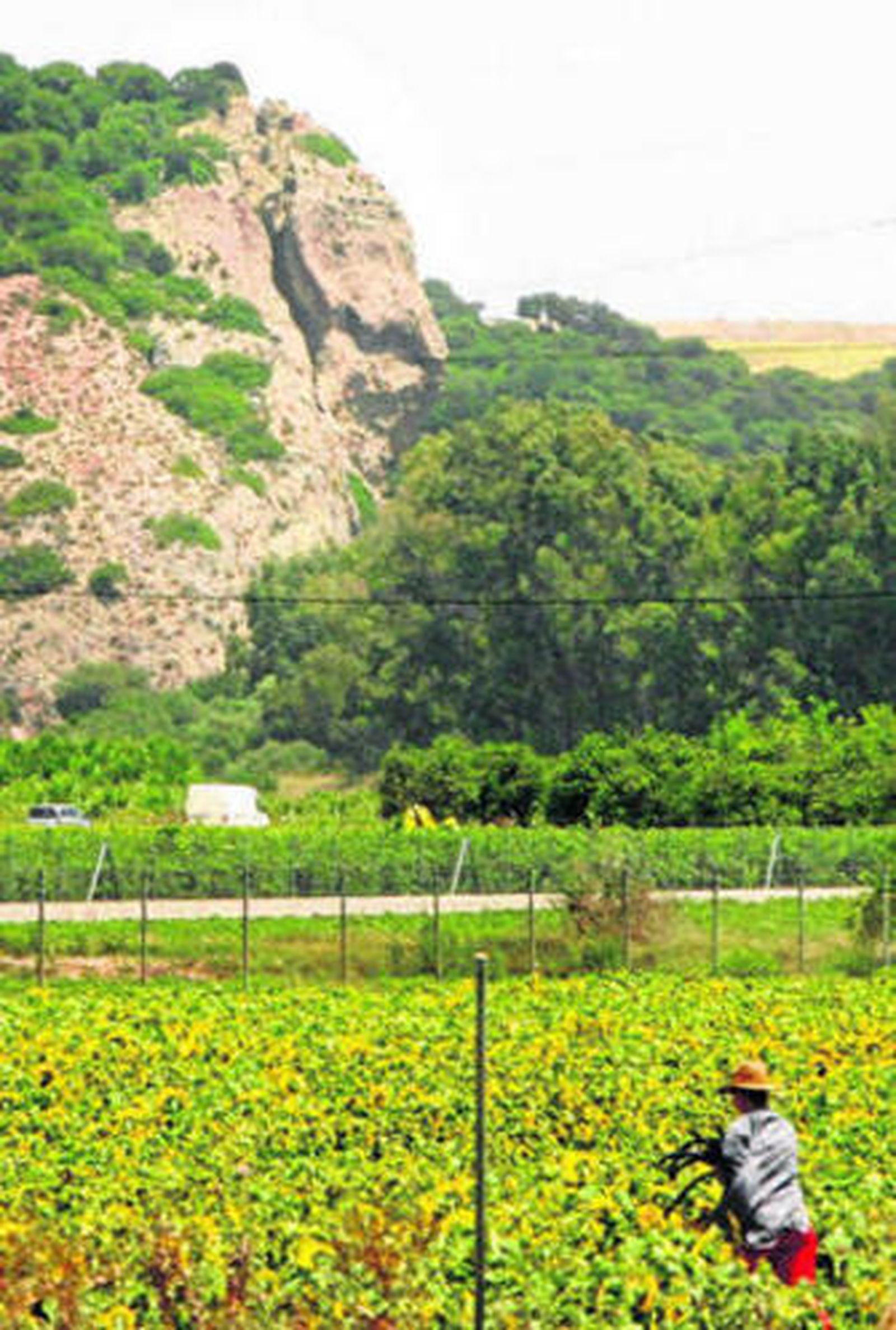 Imagen del peñasco desde una de las zonas de huertos próximas.