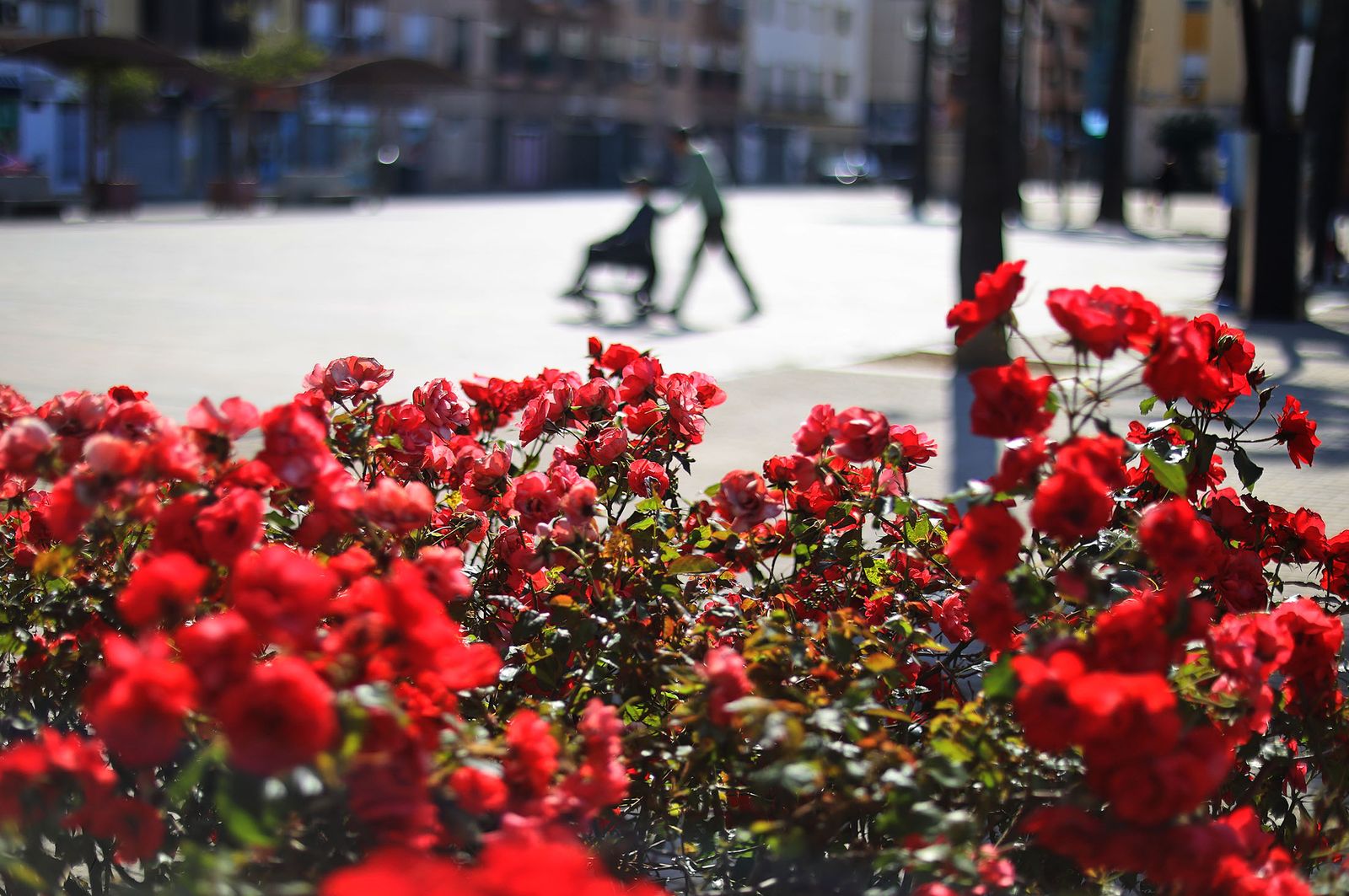 Imágenes del jueves 1 de mayo en Huelva