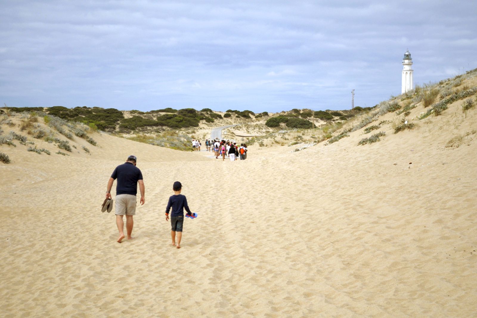 Algunas actividades y proyectos del campus CEI·MAR