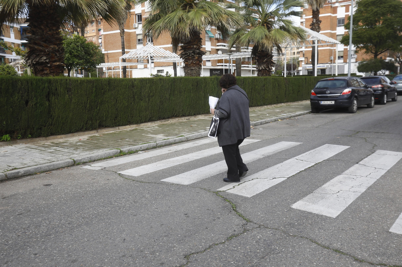 Imágenes de algunos de los pasos de peatones de Córdoba en los que se mejorará la accesibilidad