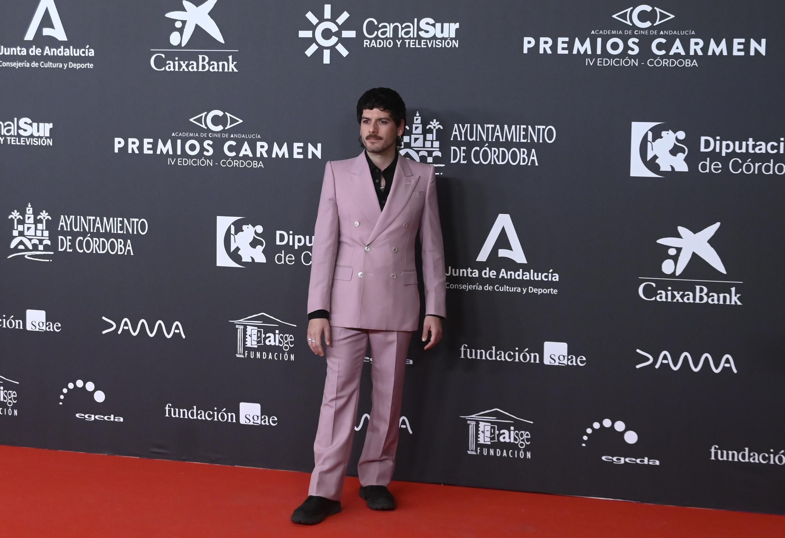 Las mejores imágenes de la alfombra roja de los Premios Carmen