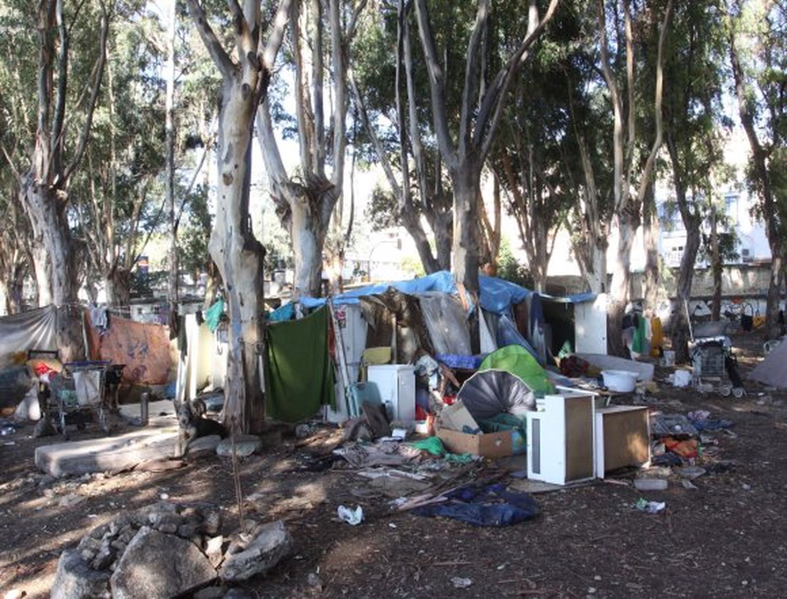 "Nuestros 'vecinos' los okupas"