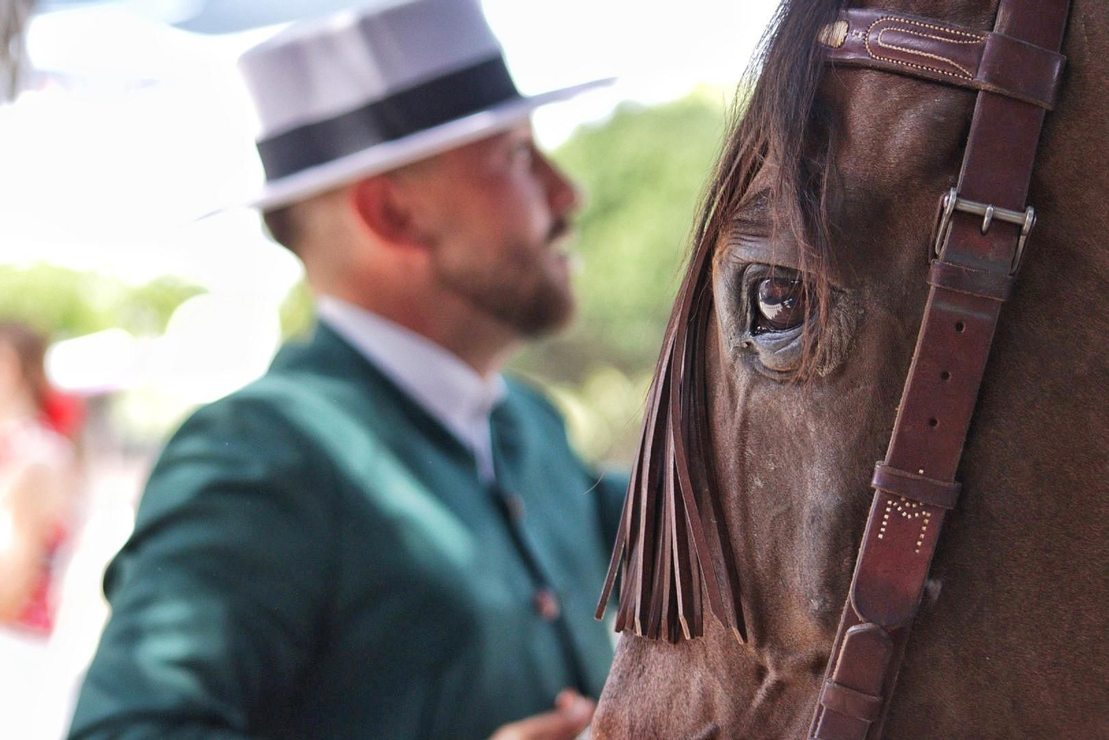 El estreno de la Feria de Málaga en el Real, en imágenes