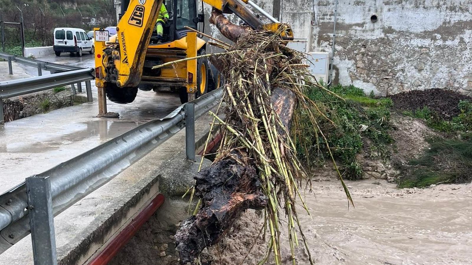 Retirada de un árbol en el arroyo Marbella en Baena.