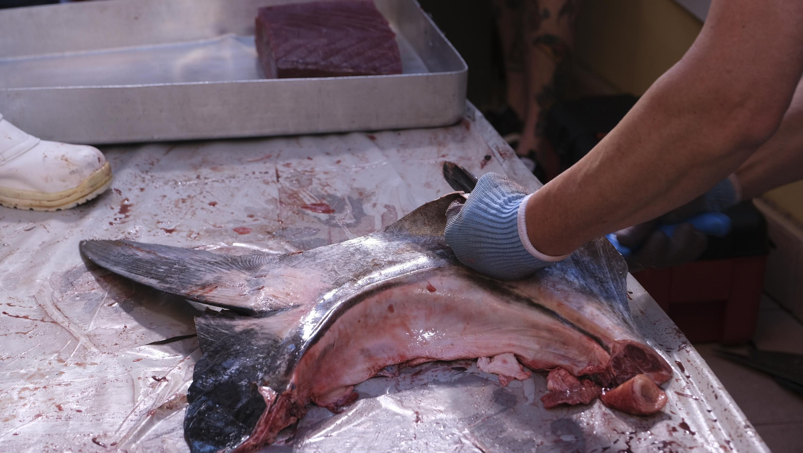 Jornadas del ronqueo del atún rojo de almadraba, en el Espacio Gastrómico Tony García.