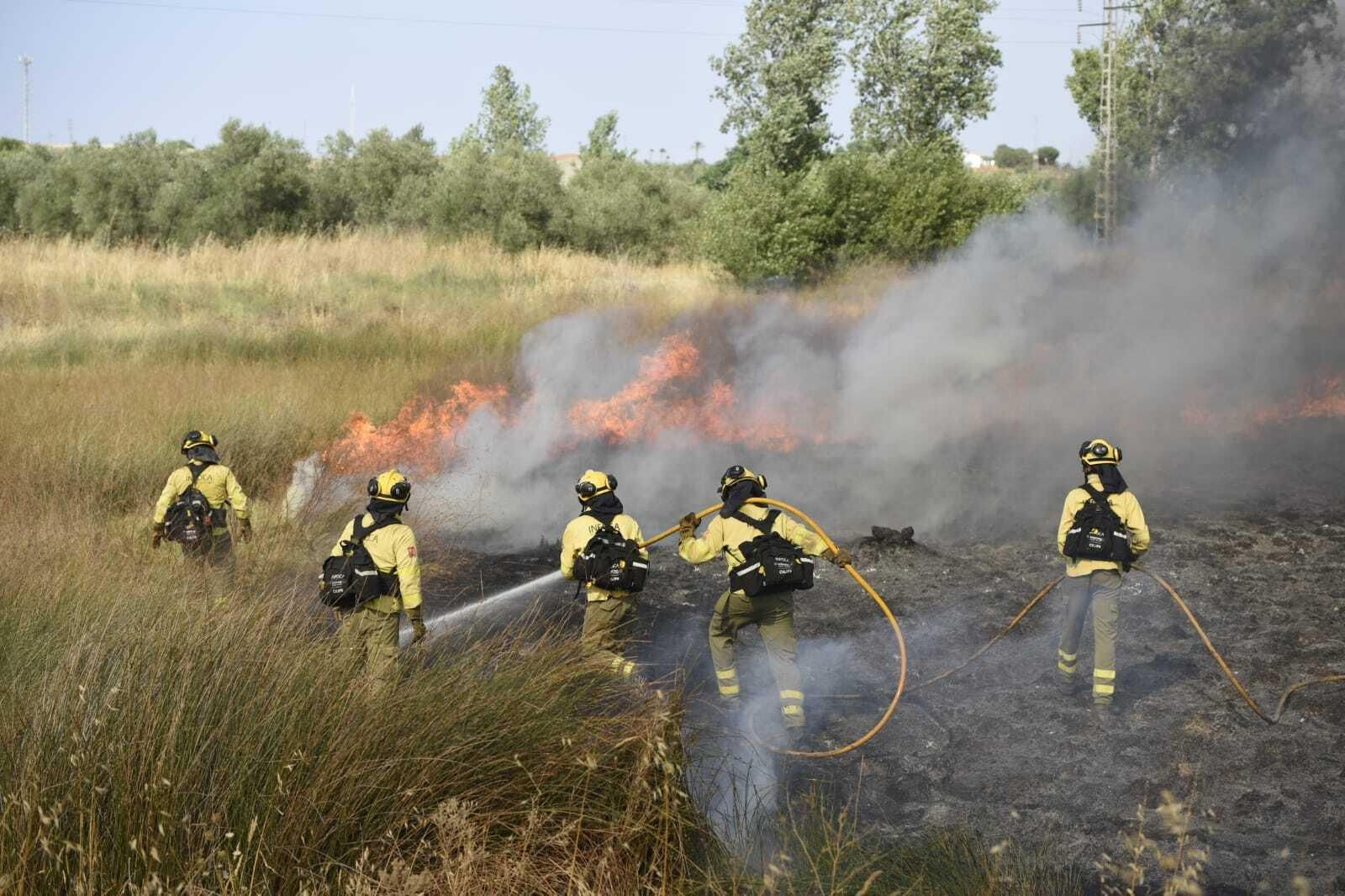 Imágenes del incendio forestal de Bonares