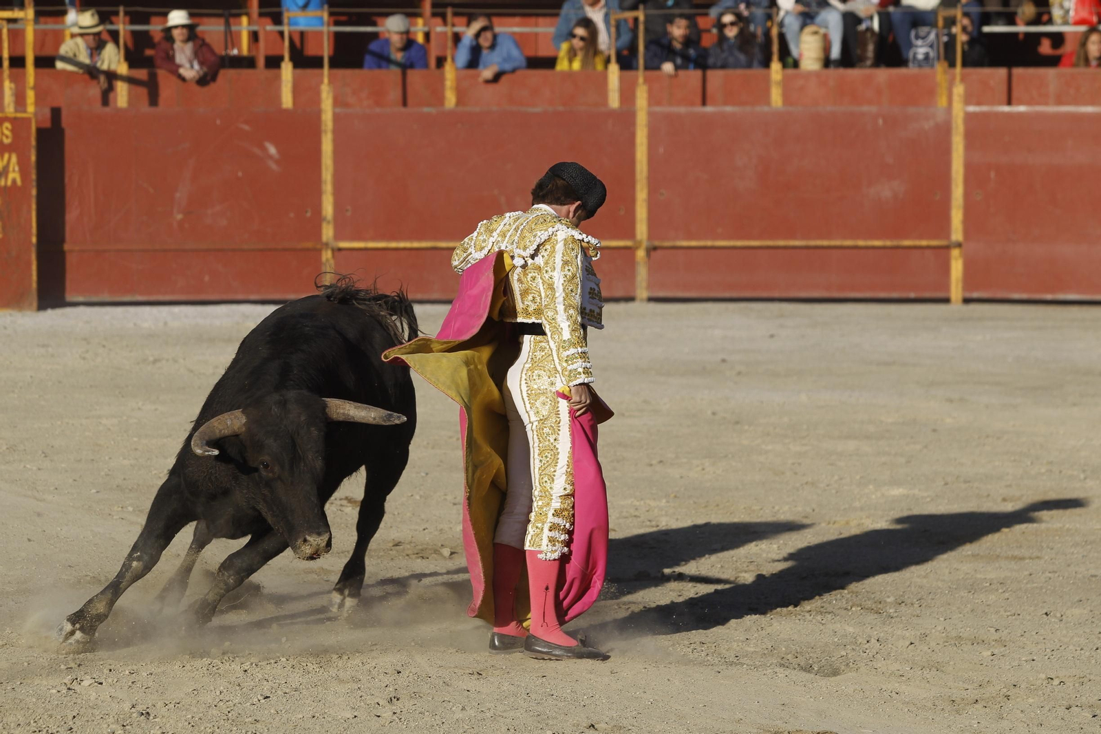 Fotogalería Novillada Fiestas de Abrucena