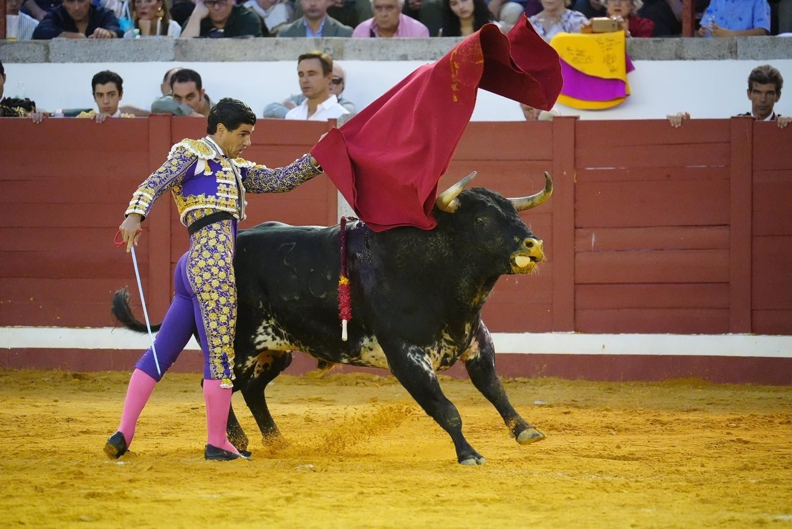 Las mejores imágenes de las corridas de toros de la Feria de Pozoblanco