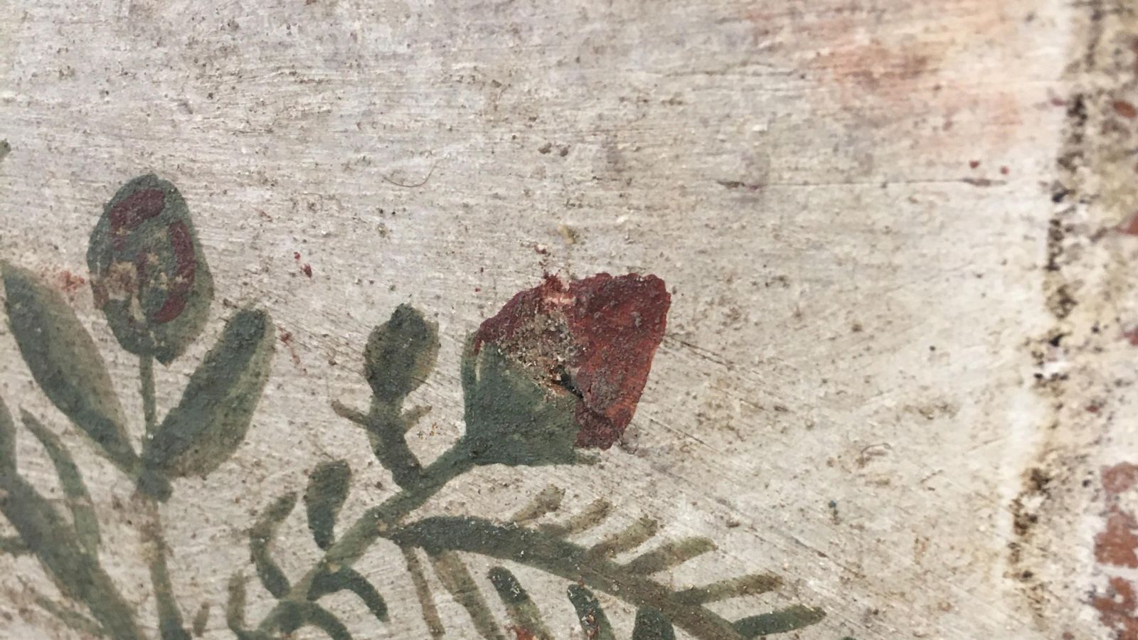 Detalle de las flores.