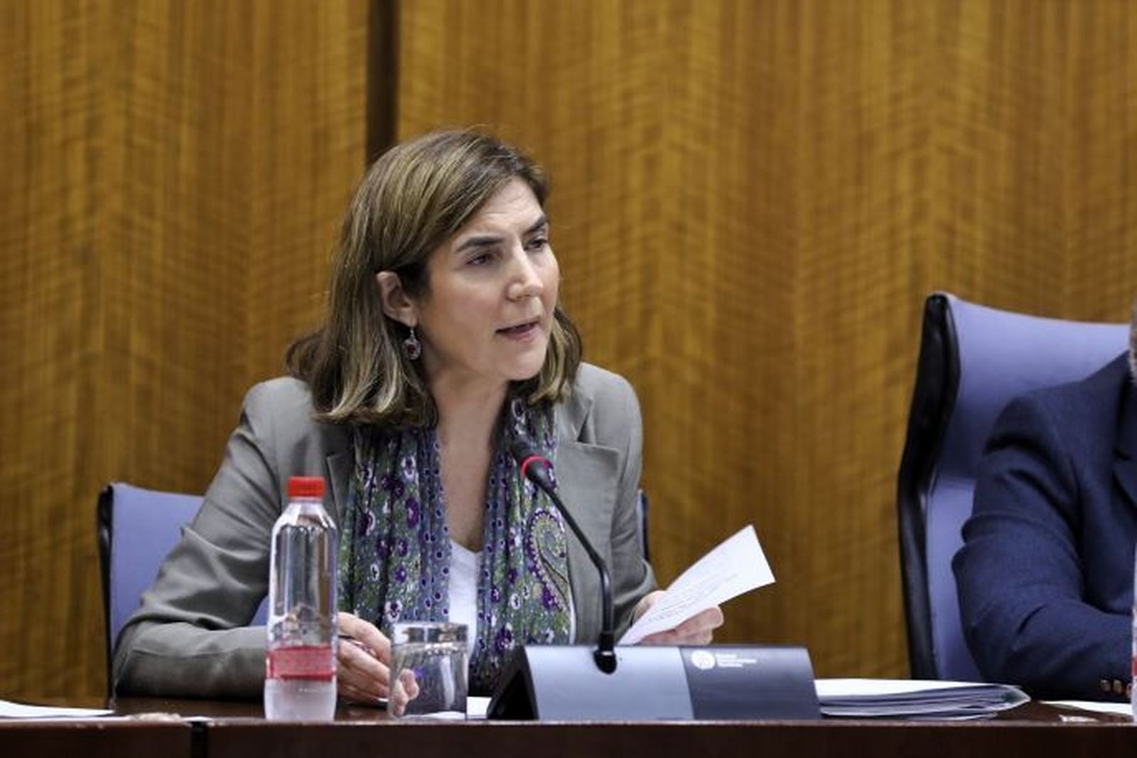 La consejera de Empleo de la Junta de Andalucía.