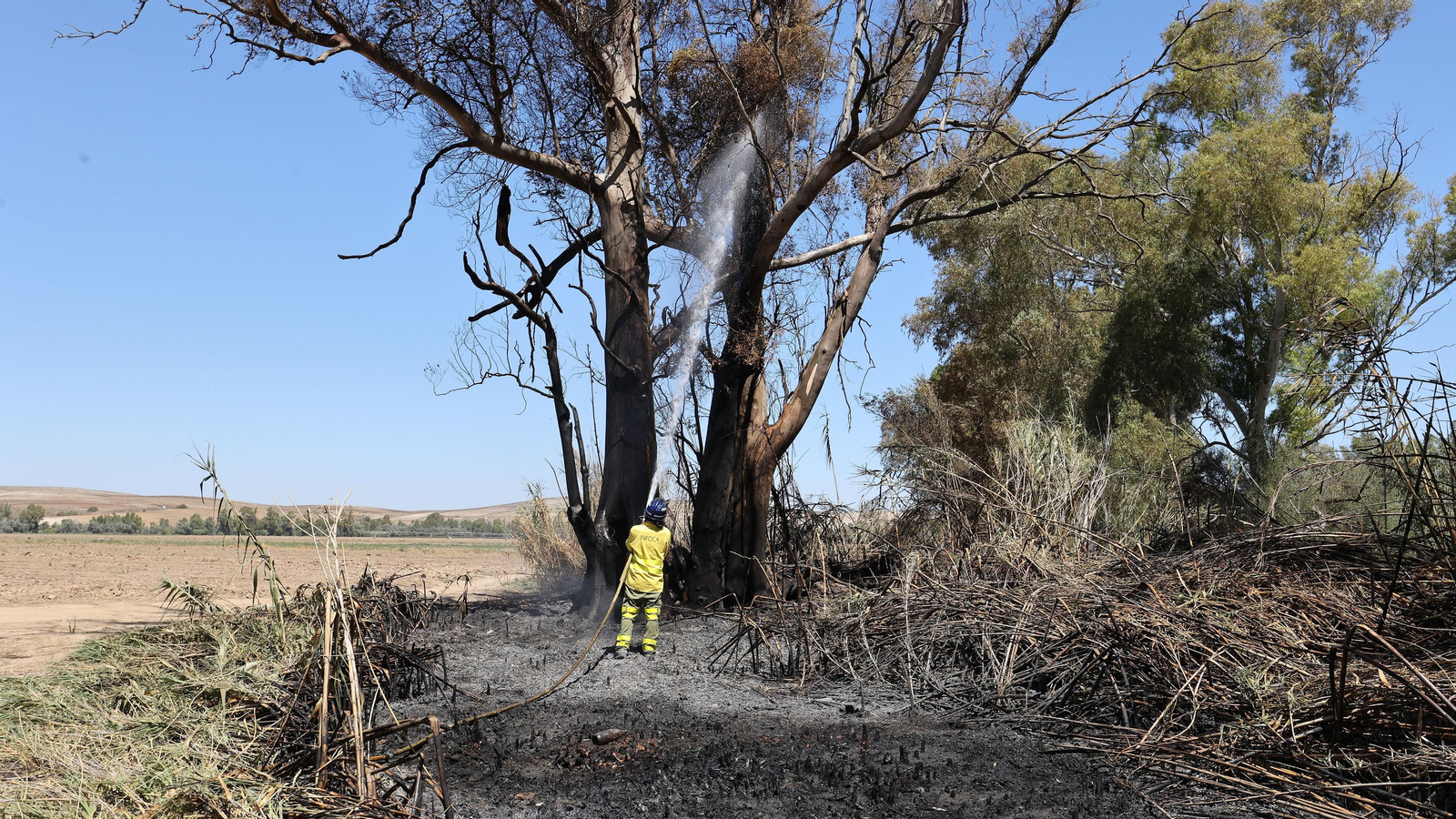 Infoca refresca la zona del incendio en La Ina
