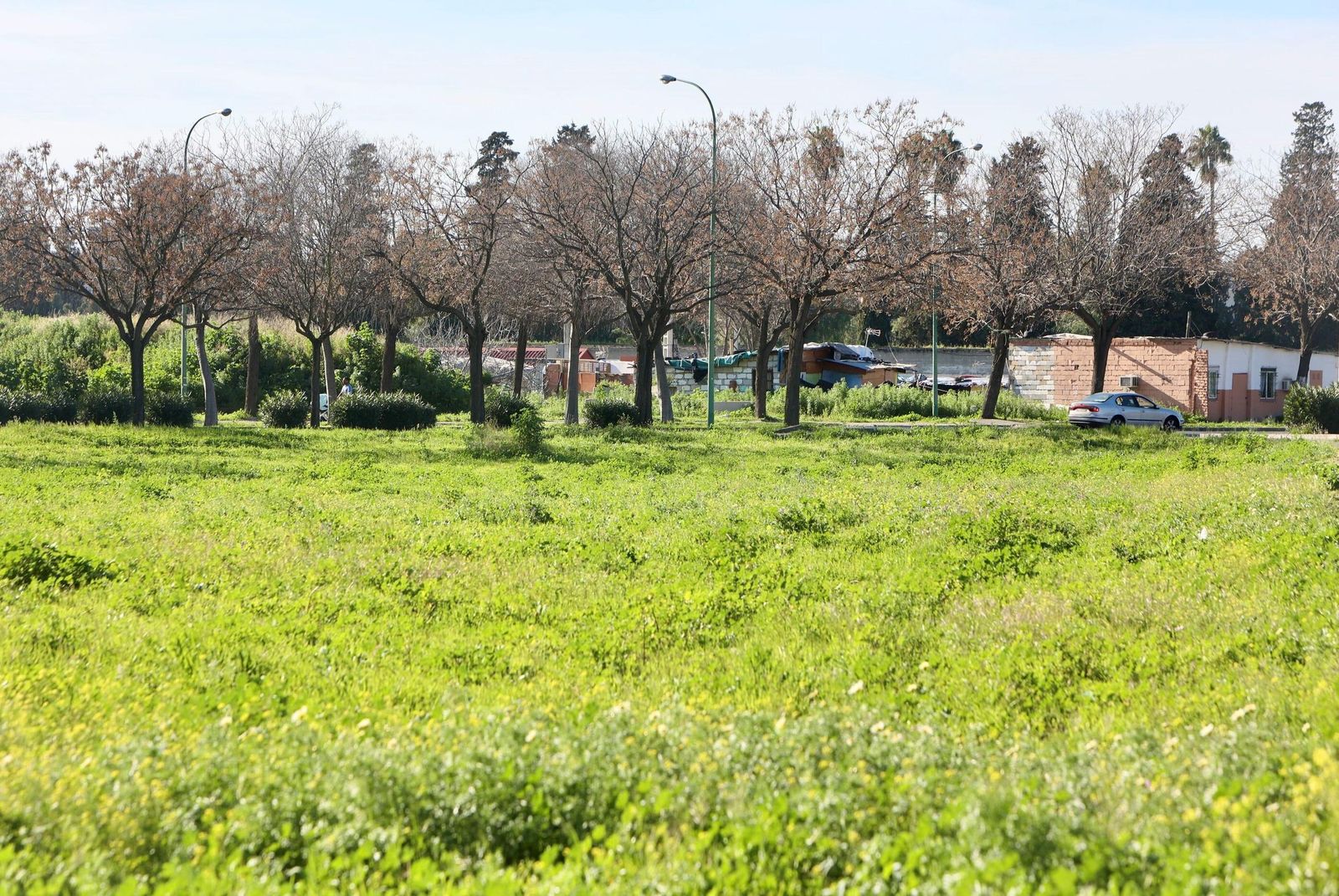 La parcela se encuentra junto al Vacie y cuenta con 4.000 metros cuadrados.