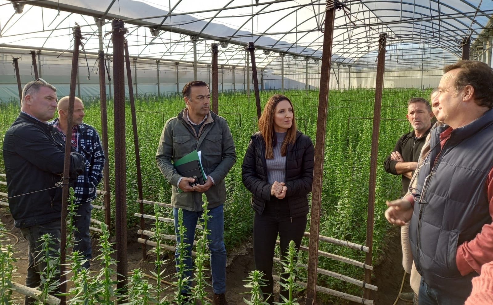 El delegado territorial de Agricultura de la Junta, durante su visita a una explotación de flor cortada de Chipiona.