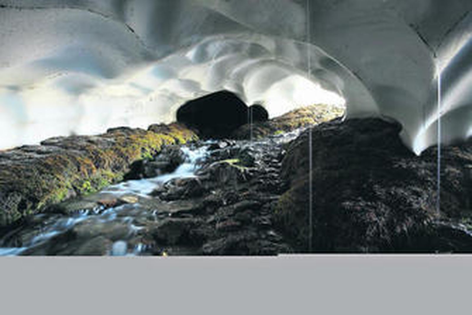 Toda la nieve por 125.000 pts