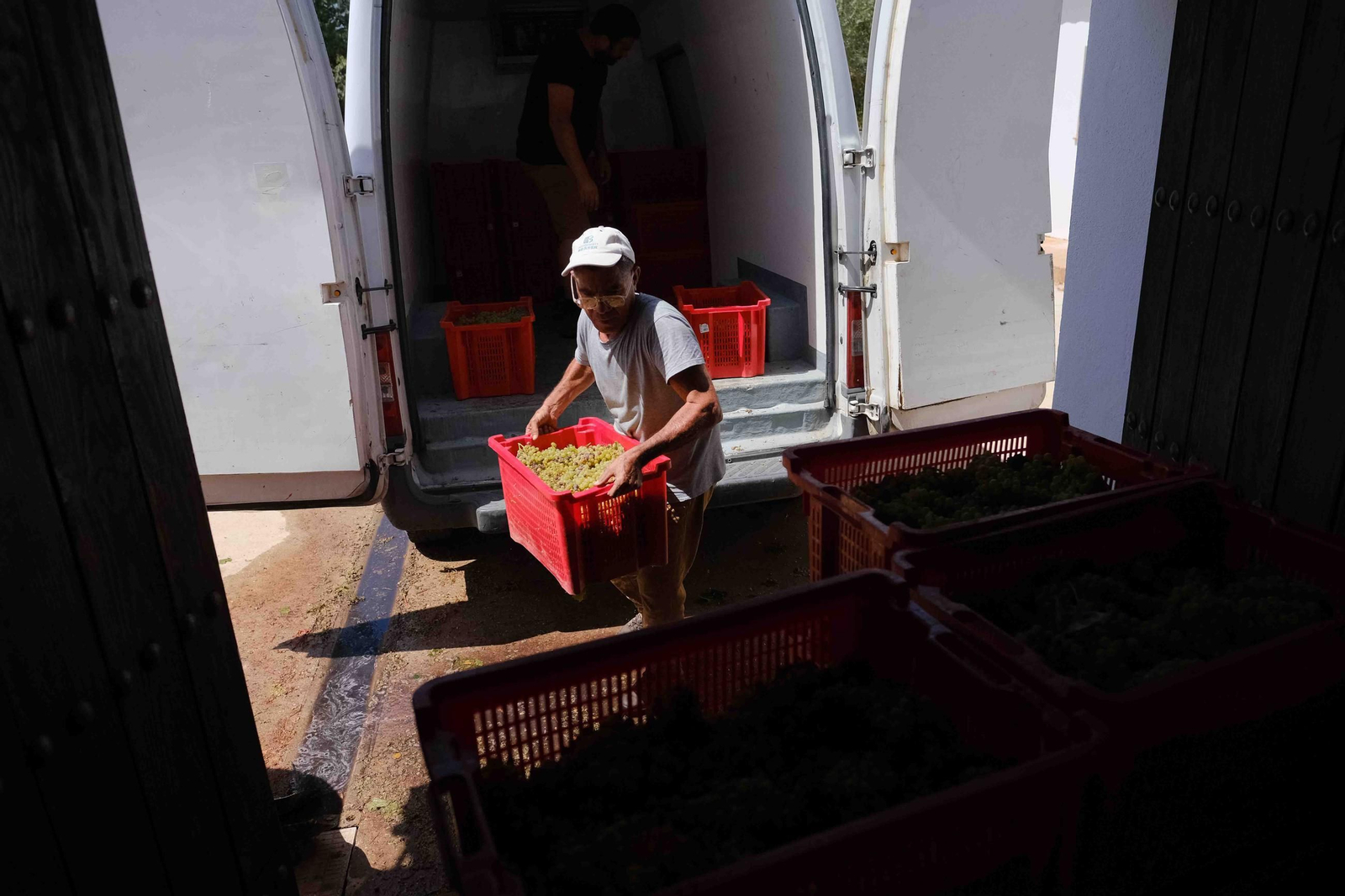 Vendimia en la Serranía de Ronda
