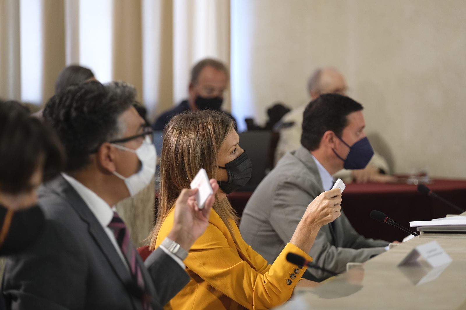 Fotogalería pleno ordinario Ayuntamiento de Almería.
