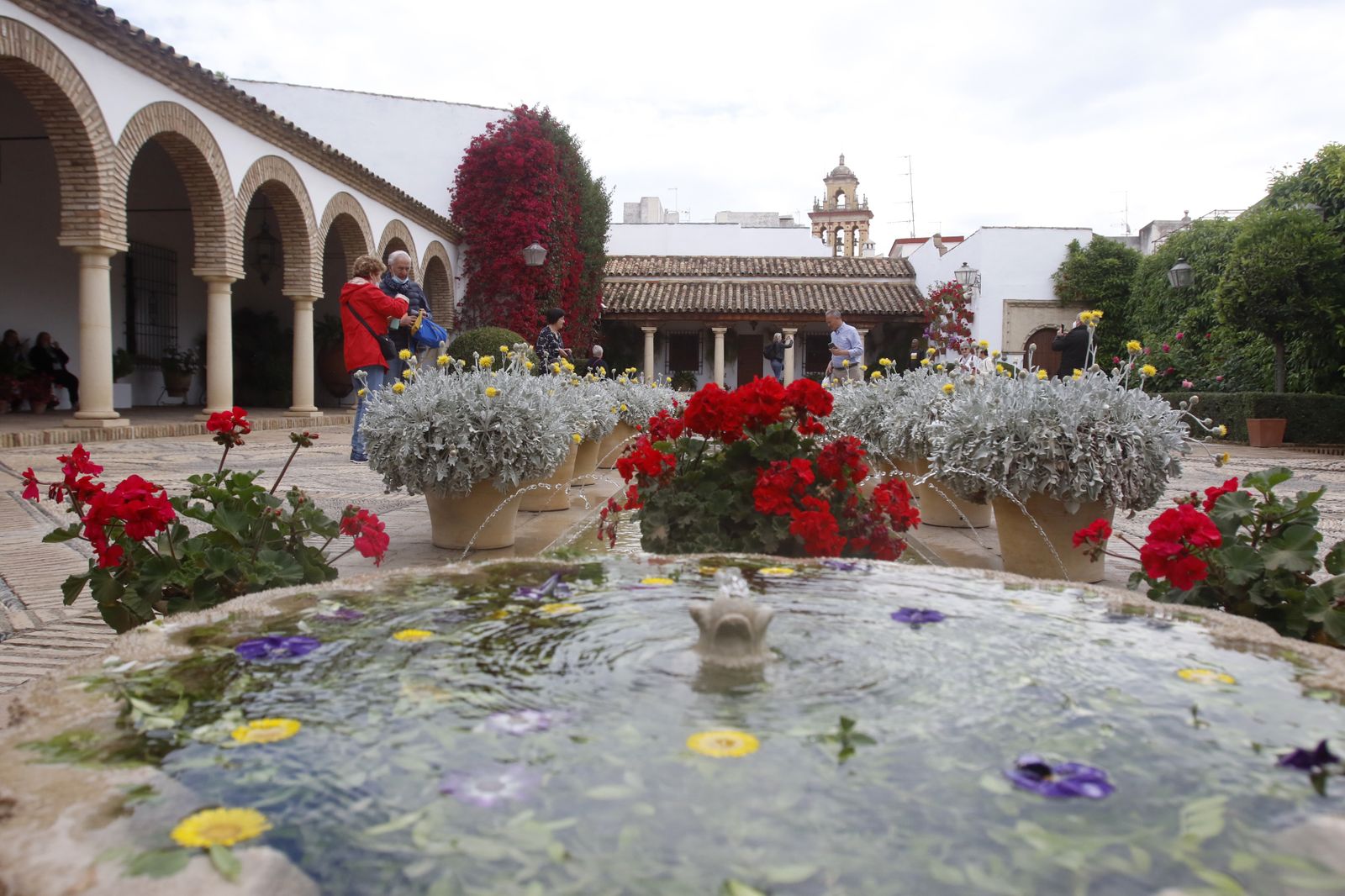 La jornada de puertas abiertas del Palacio de Viana, en imágenes