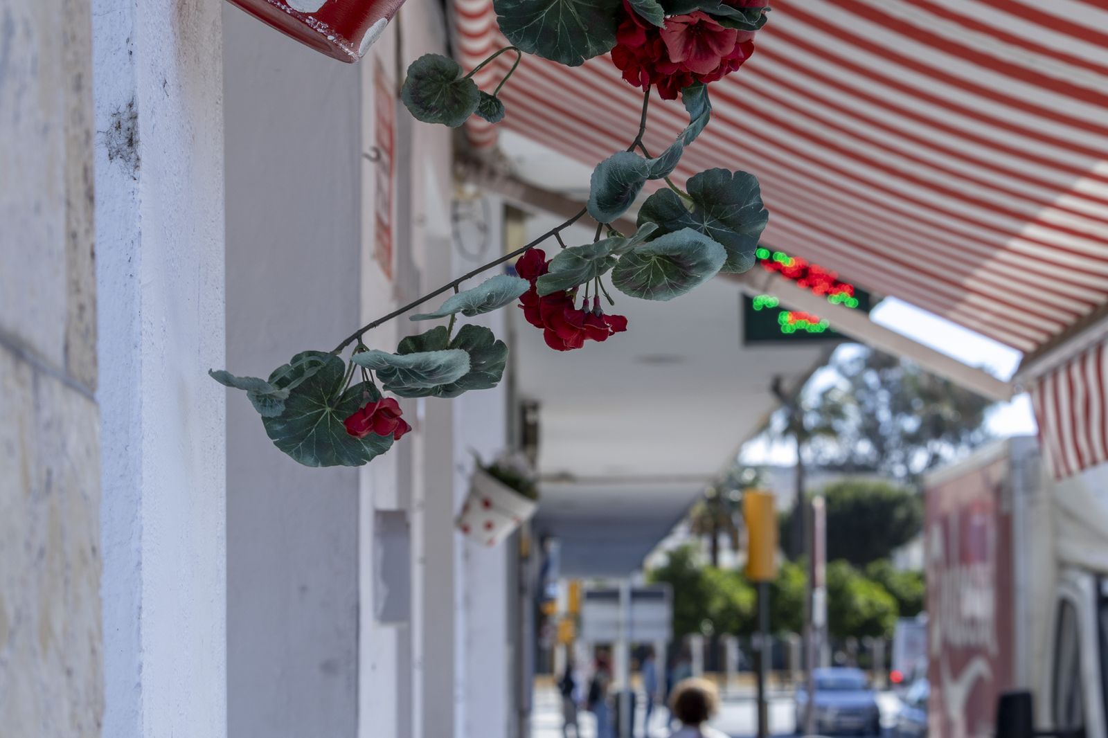 Imágenes del Lunes 15 de Mayo