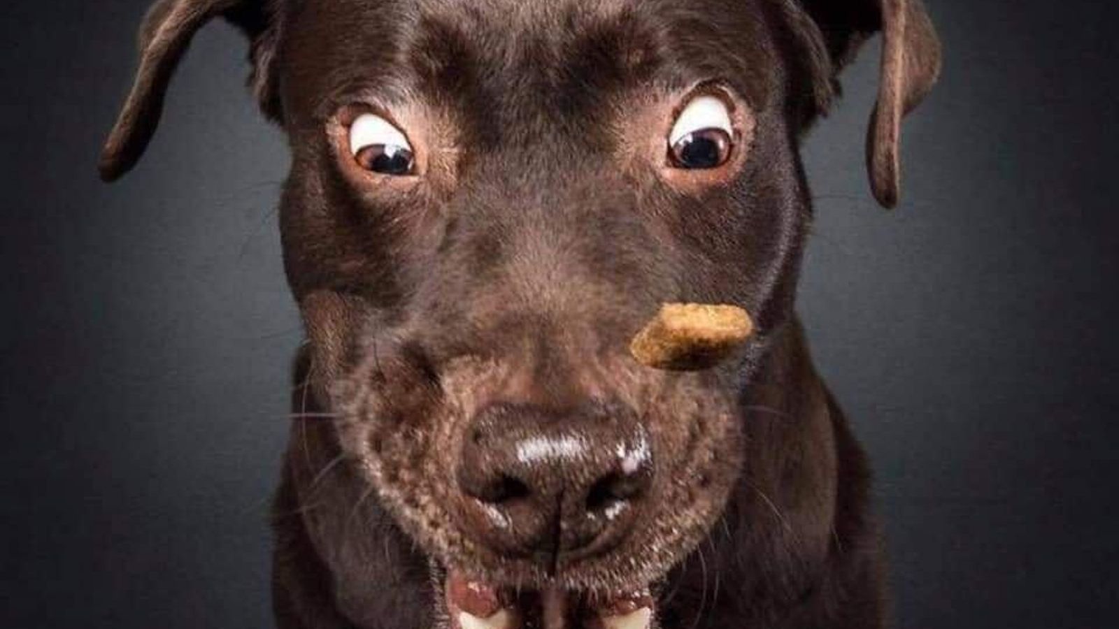 Sesión de fotos 10