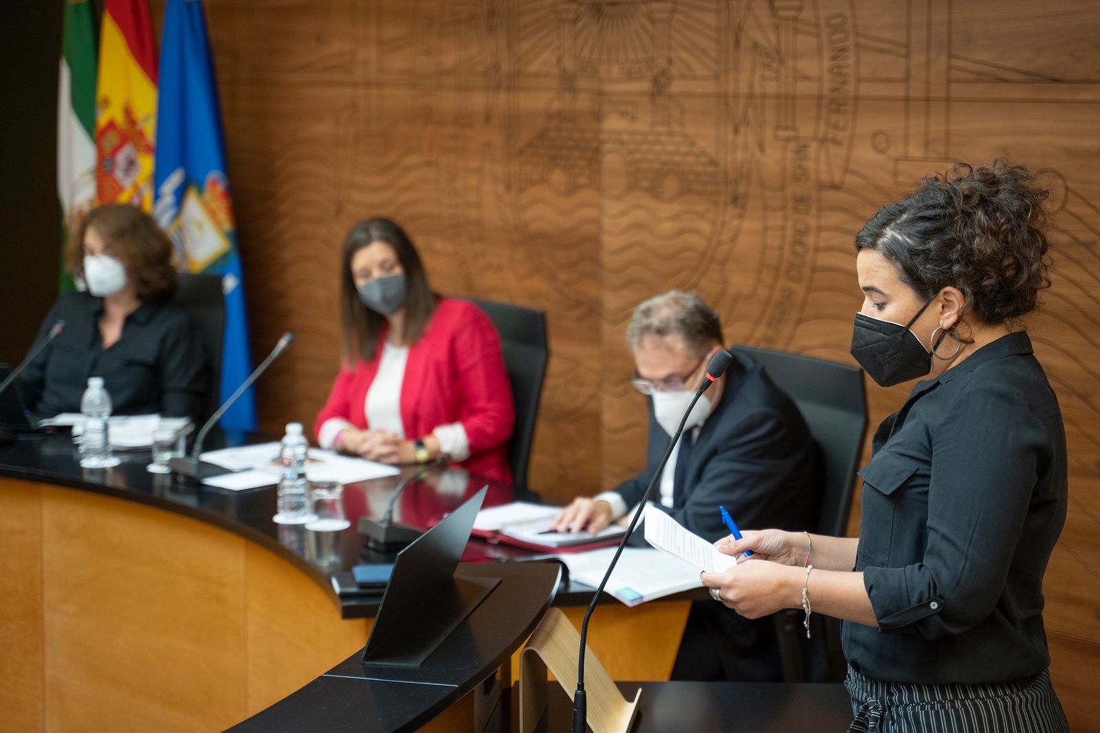 Ana Rojas, portavoz de Podemos San Fernando, durante el último pleno.