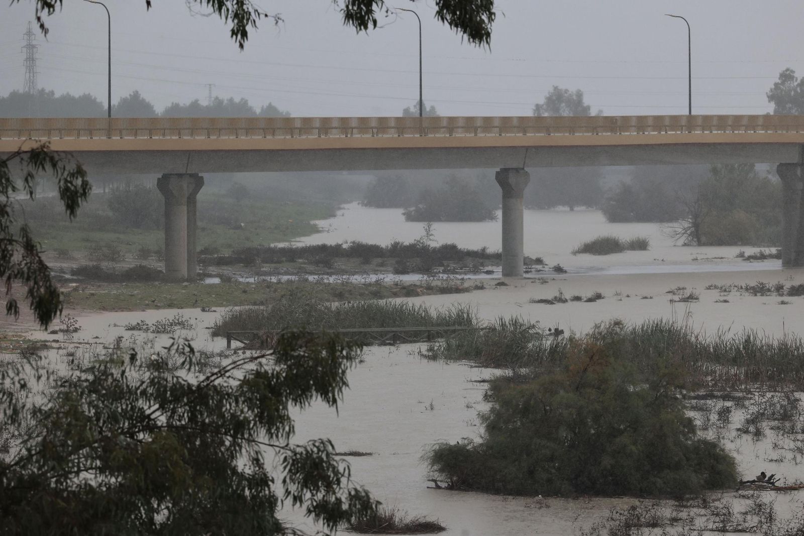 Las imágenes de la crecida del río Guadaíra a su paso por Sevilla