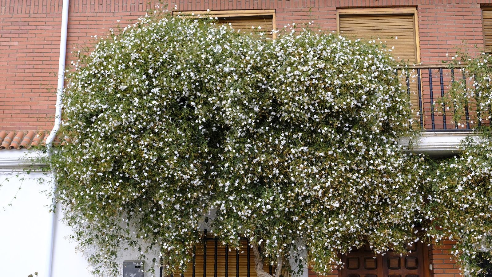 Limpieza y senderismo por la Alpujarra, en imágenes