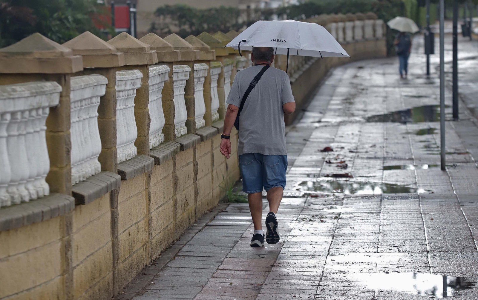 Las primeras lluvias de otoño, en imágenes