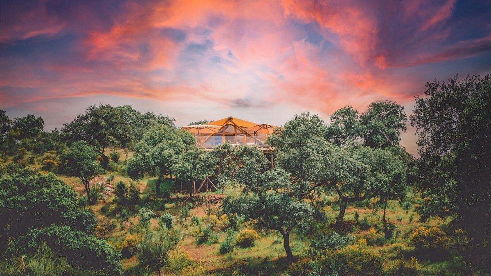 La Dehesa Experiences