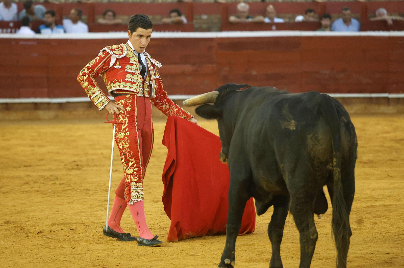 Toros La Merced 2024: Imágenes de la clase práctica del primer Festejo celebrado en la Plaza de Toros La Merced