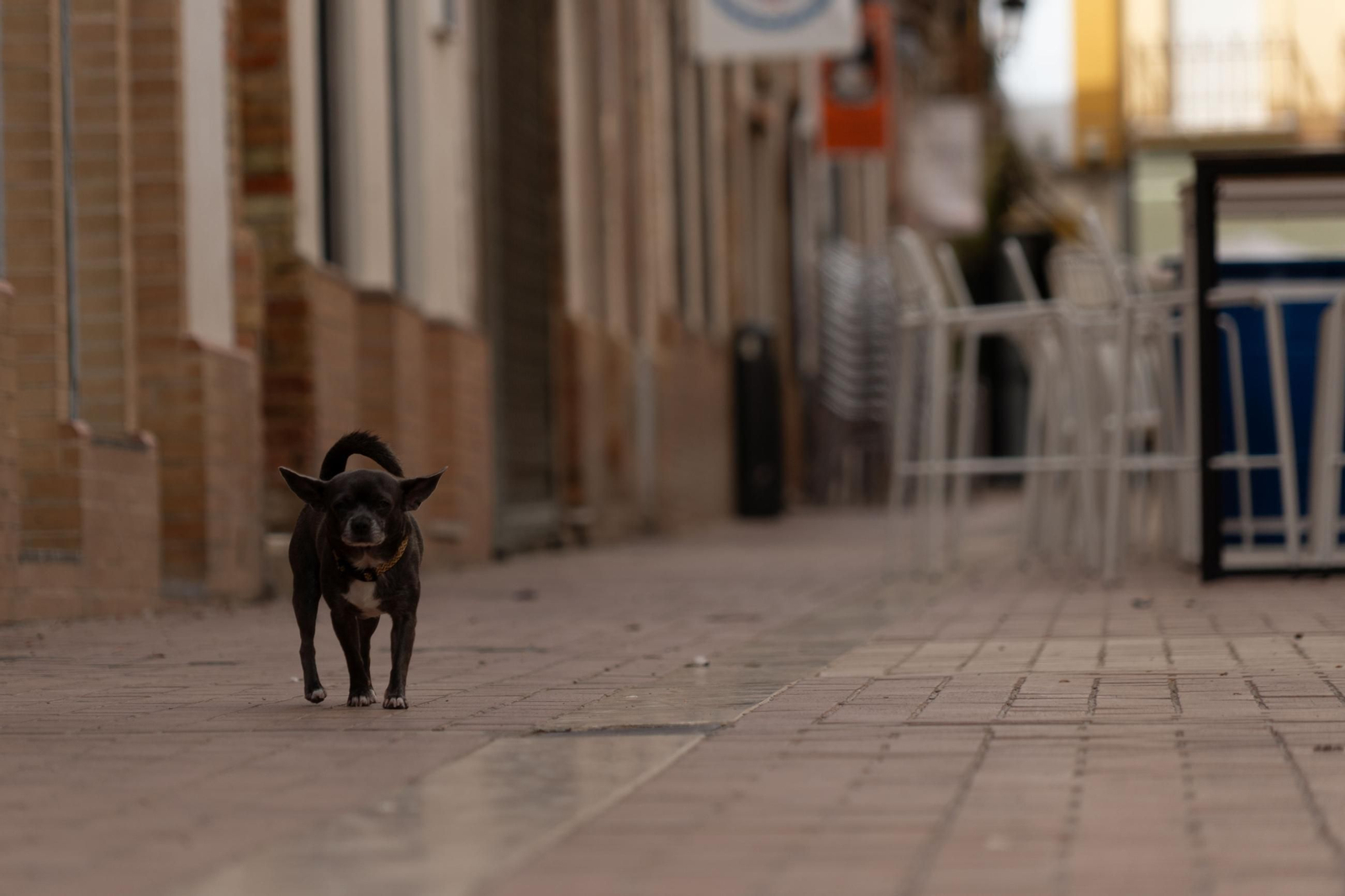 Las imágenes más destacadas del miércoles 18 de junio en Huelva
