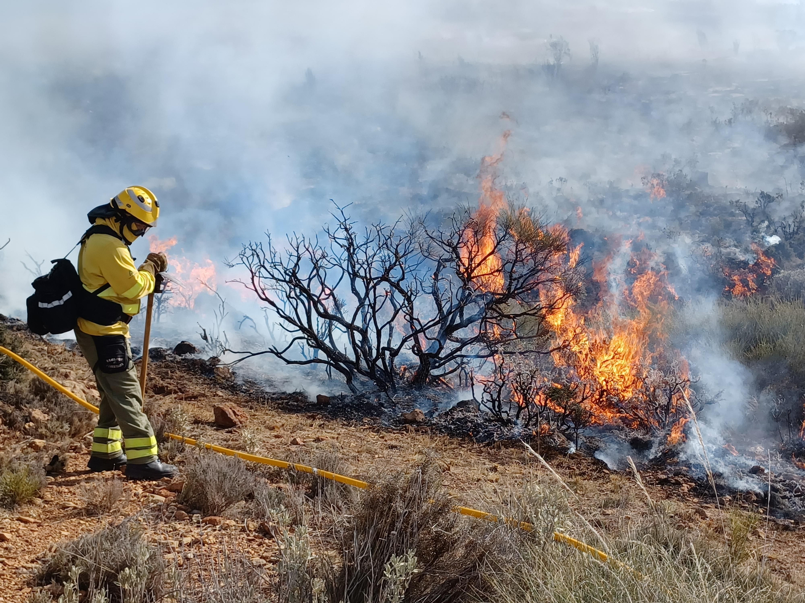 Quema prescrita del Infoca en Cortijo Clavero de Dalías