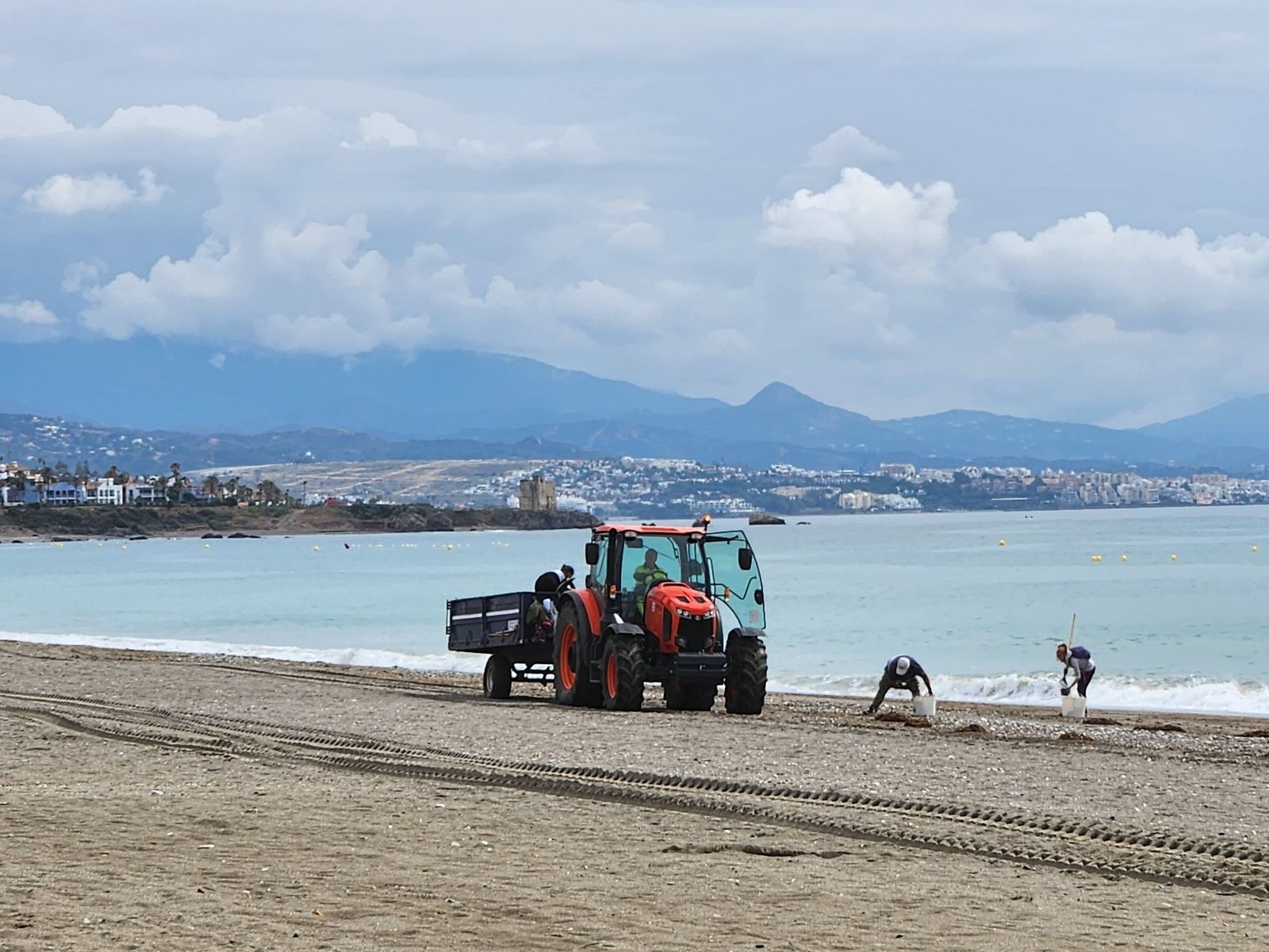 Los trabajos de limpieza que se están acometiendo en el litoral.