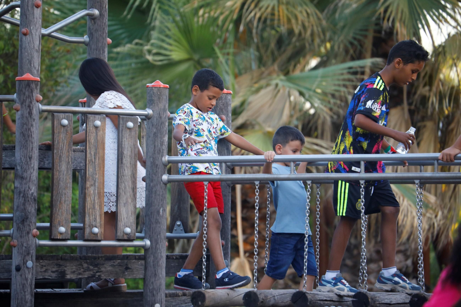 La llegada de los niños saharauis a Córdoba, en imágenes