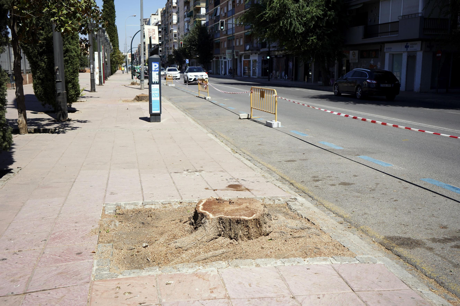 Nueva tala de árboles en la calle Arabial de Granada