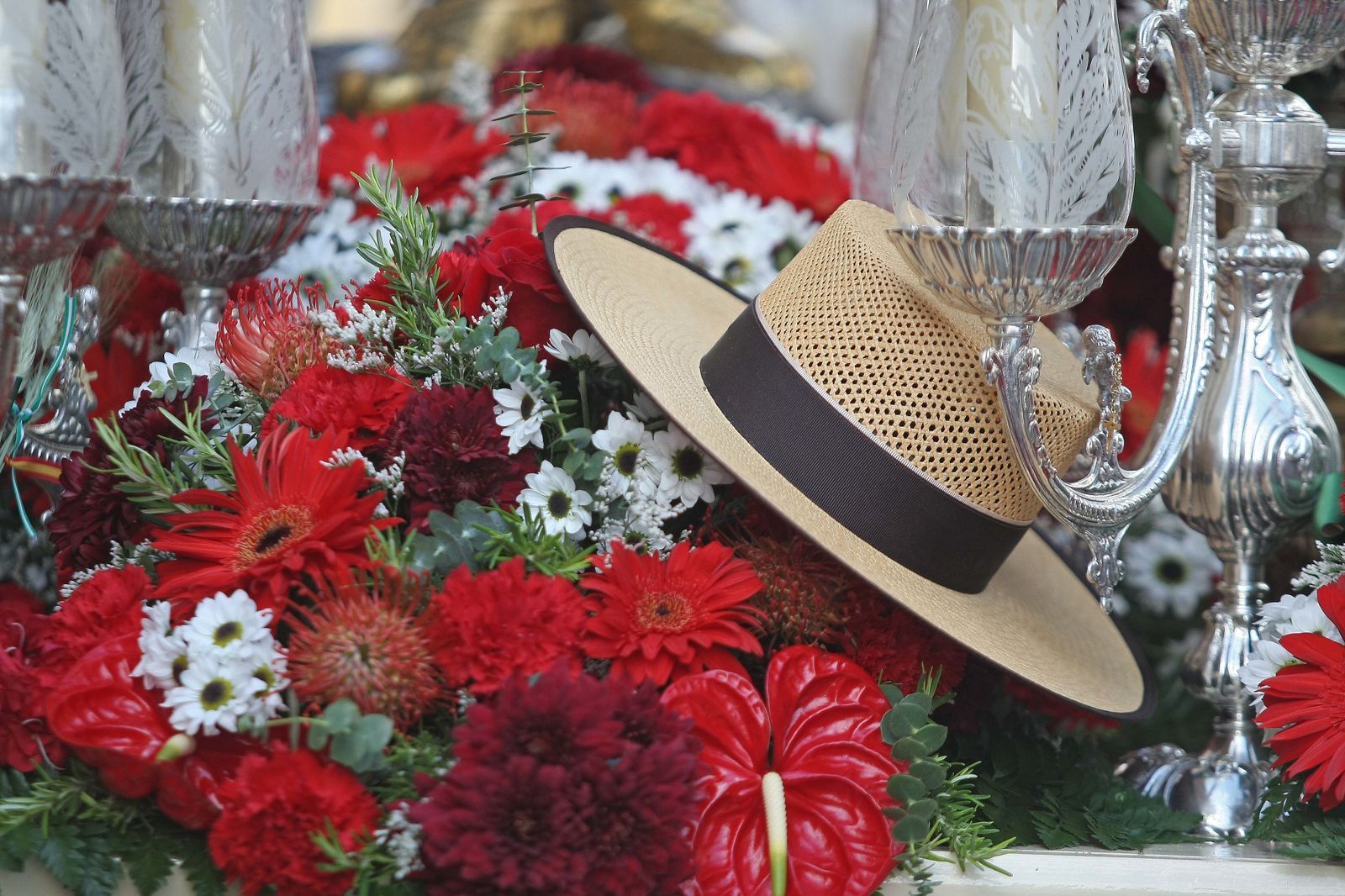 La Romería de Los Barrios, en imágenes