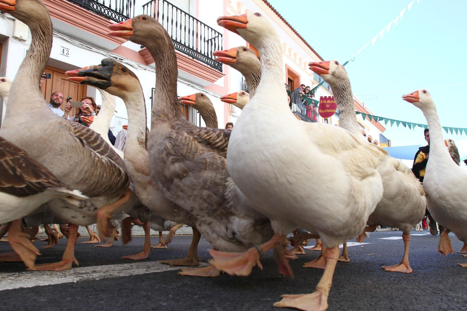 Imágenes del desfile de la XIX Feria Medieval del Descubrimiento, en Palos de la Frontera