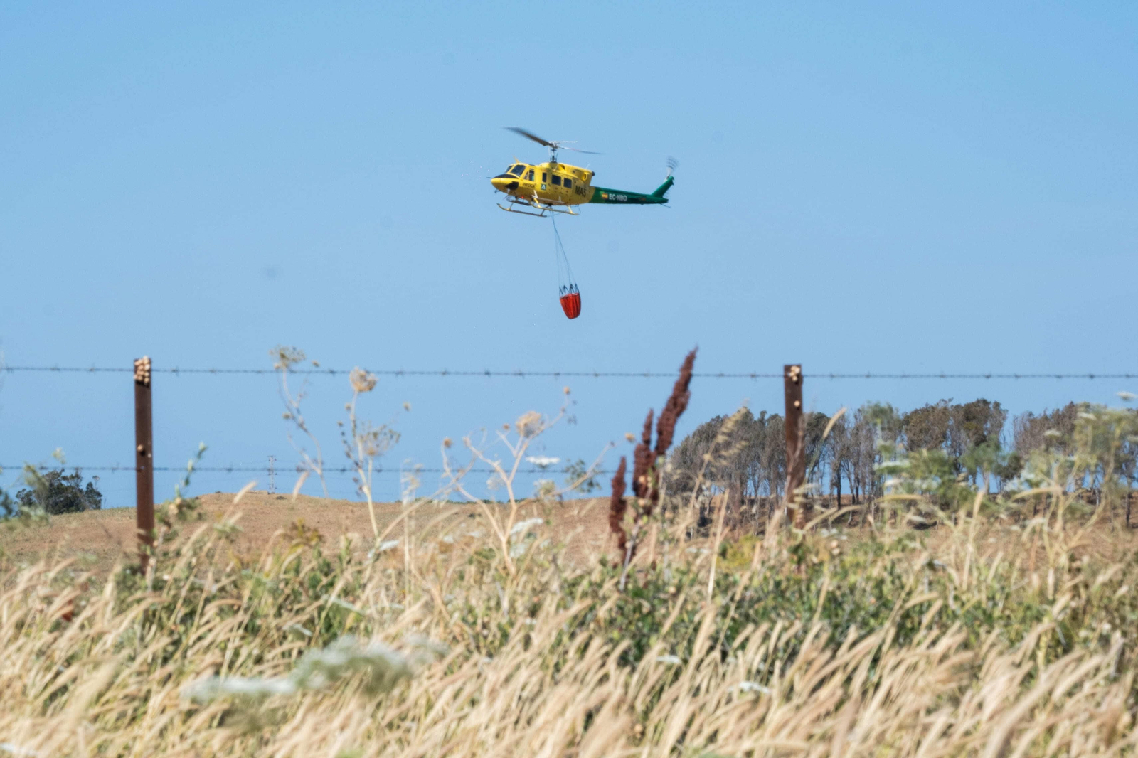 Los efectos del devastador incendio en el paraje monte de La Peña, en imágenes