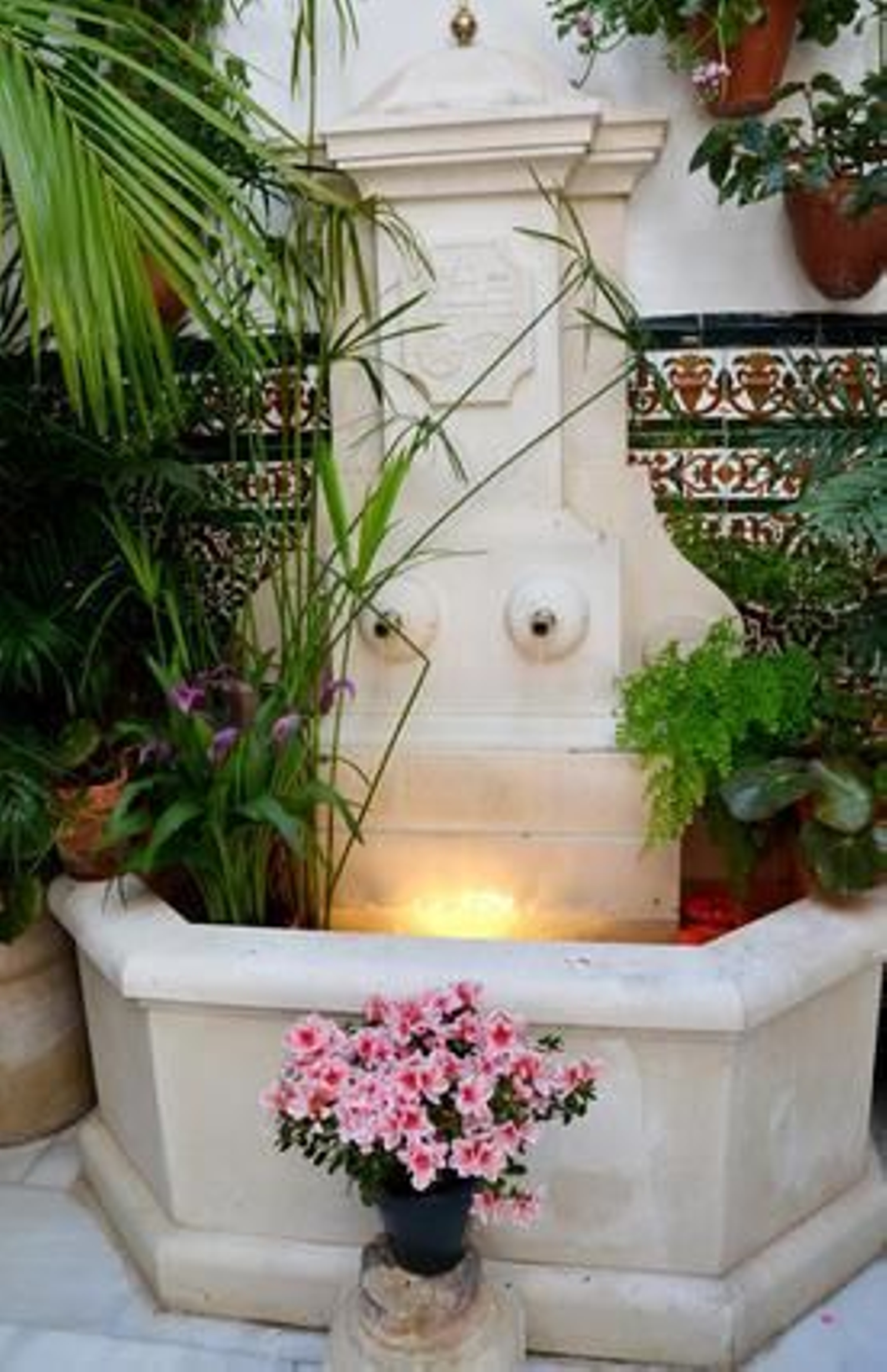 Foto: Macarena Gassin