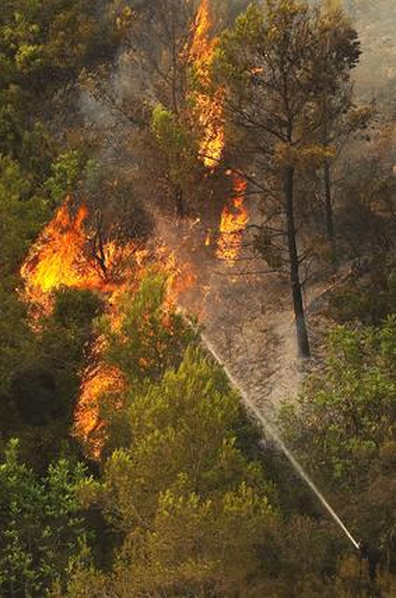 El fuego arrasa miles de hectáreas en comarcas del interior de la provincia de Valencia.

Foto: AFP