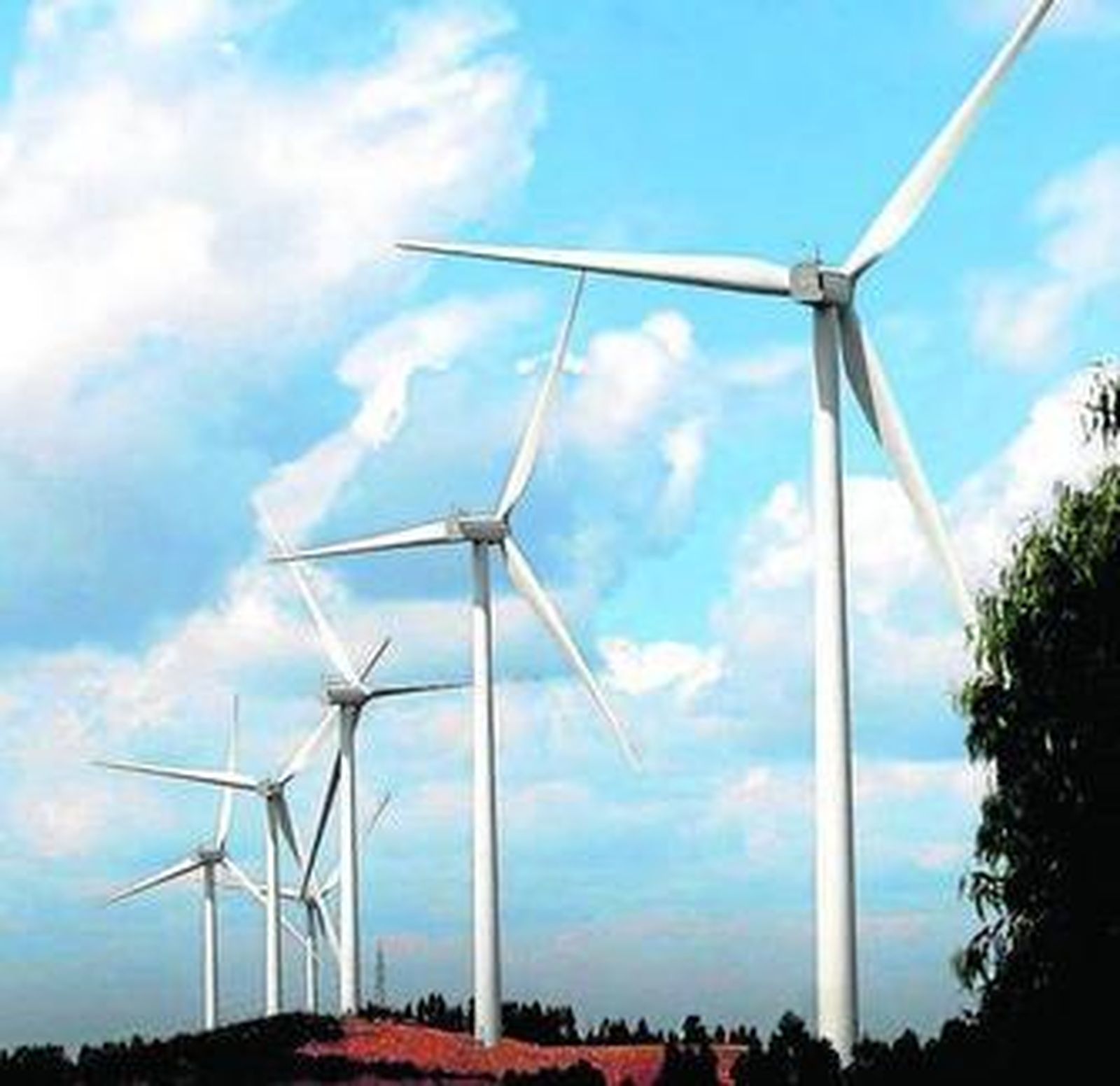 Parque eólico de Iberdrola en Huelva.