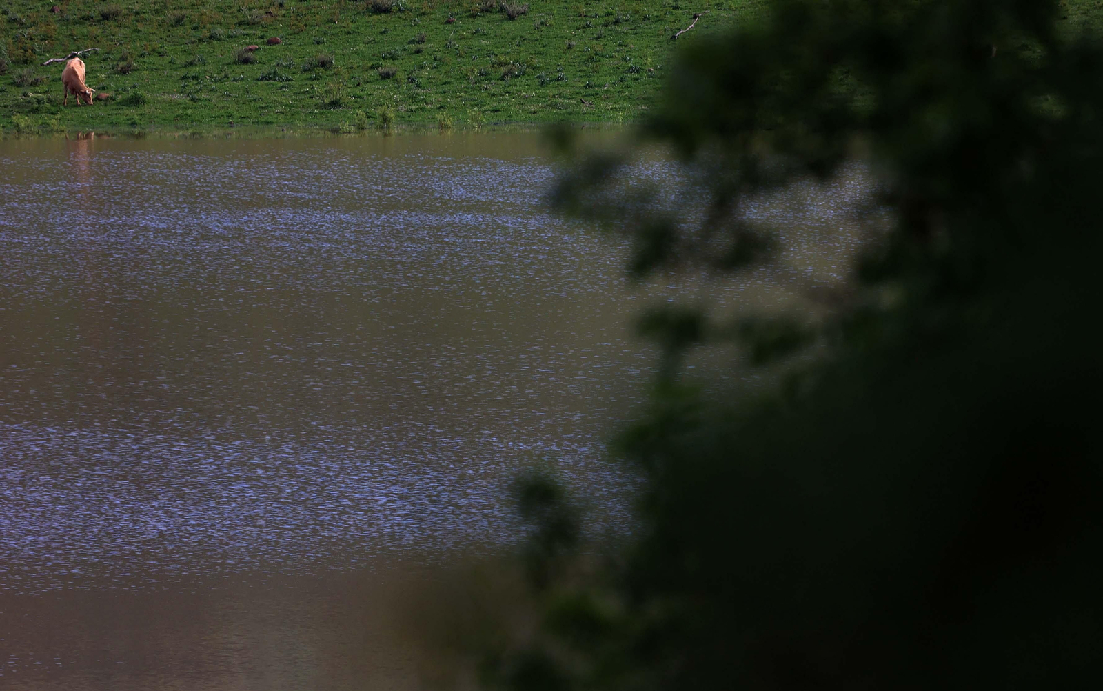 Imágenes del embalse de Charco Redondo en Los Barrios