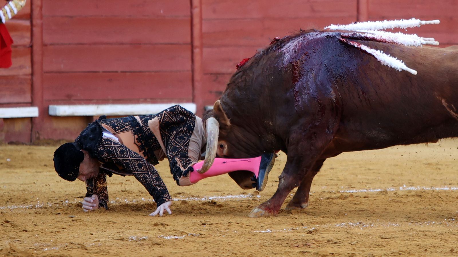 Última tarde de toros de la Feria de Jerez 2024 con Morante, Manzanares y Castella