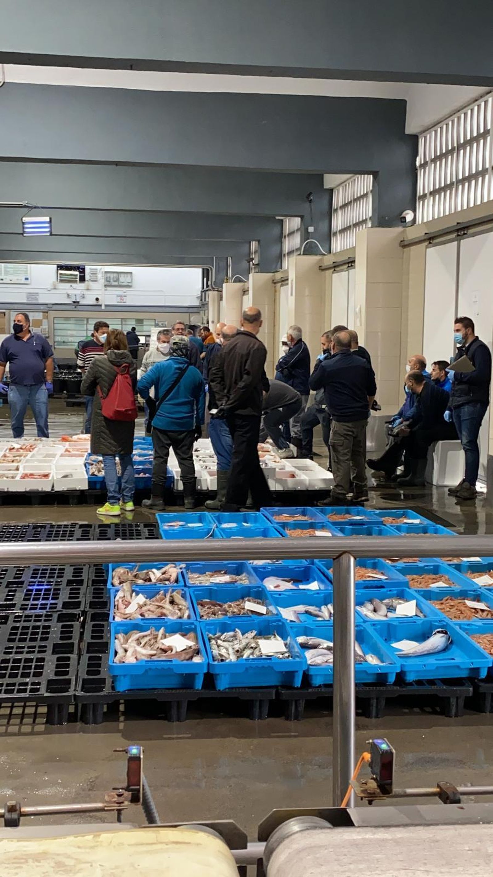 La lonja del puerto pesquero de La Caleta, en pleno estado de alarma.