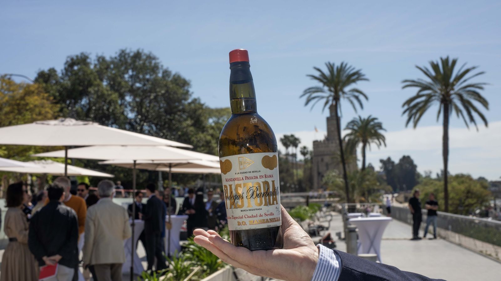 Manzanilla Pastora edición Sevilla